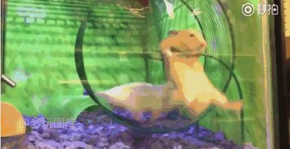 搞笑：看着她有没有想到什么？一不小心发现哆啦A梦的真实目的，看来这孩子肯定见过什么？