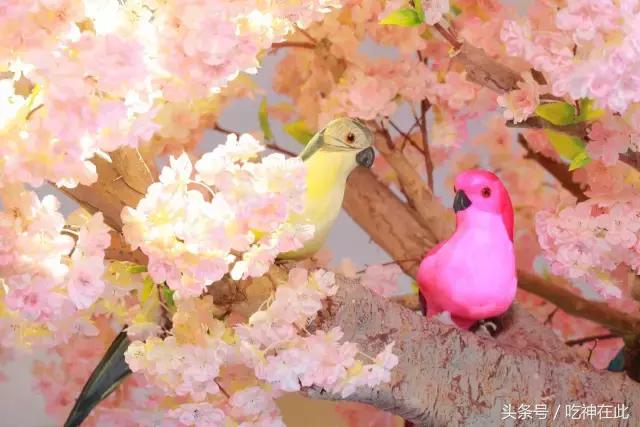 长洲岛竟有座半山望江恐龙主题酒店!吃住玩样样齐!