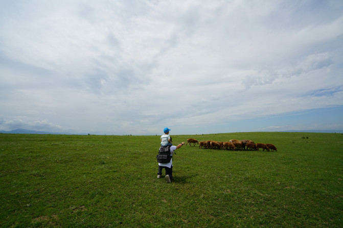 感受大西北的异域风情环疆游结束,南北疆深度游北疆进入南疆