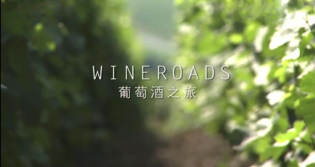 WineShow——“躺着学葡萄酒”的新姿势