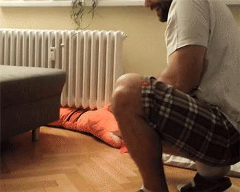 一梦谈狗:听说你喜欢法国斗牛犬,那你了解它么?