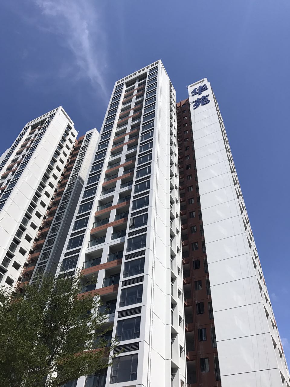 上周，深圳买房的人都去了观音山、凤凰山旁边的华苑