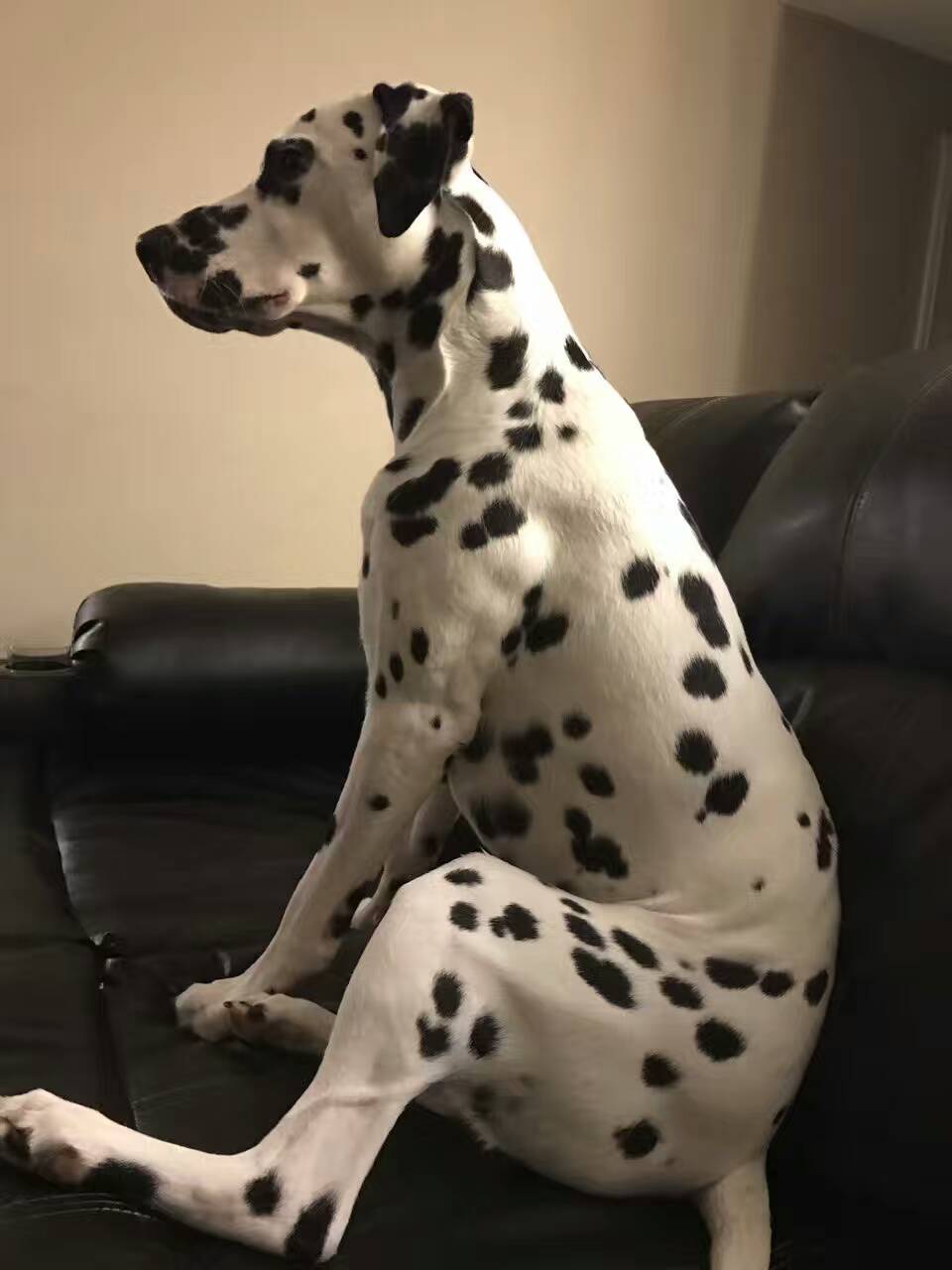 seo怎么优化栏目url,seo优化之url优化方法