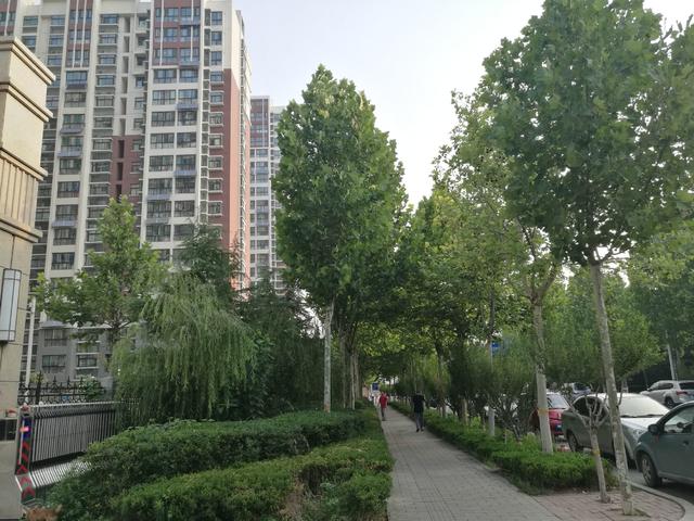 潍坊市圣基福安家园电梯,潍坊福安家园圣基铭座六楼价格