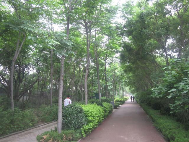 潍坊市圣基福安家园电梯,潍坊福安家园圣基铭座六楼价格