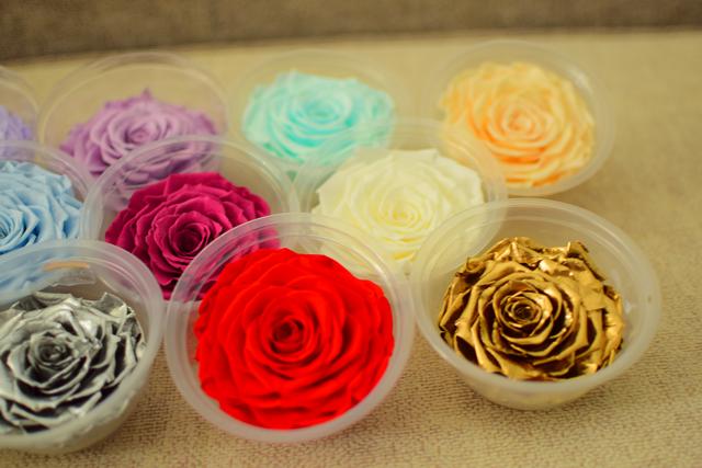 永生花潮了还有得救吗,天气转凉景观石怎样维护