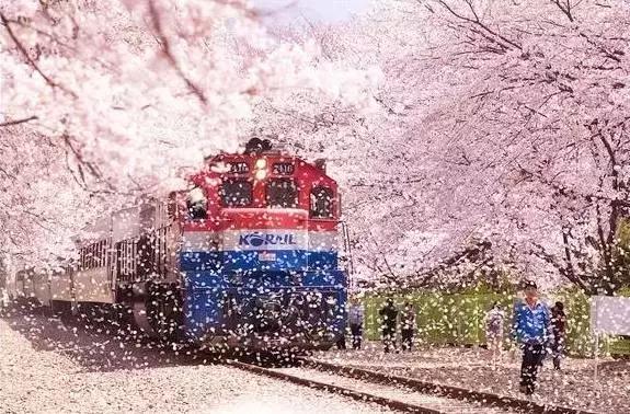 韩国攻略必备,想去韩国玩要准备什么