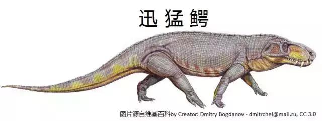 恐龙时期的恐鳄,恐龙时期的扬子鳄