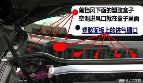 爱车被动物入侵怎么办,爱车遭小猫破坏