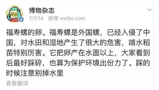 孕妇误食福寿螺导致流产,孕妇误食福寿螺