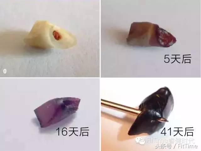 知道了这些,我终于可以“放心”的喝可乐了!