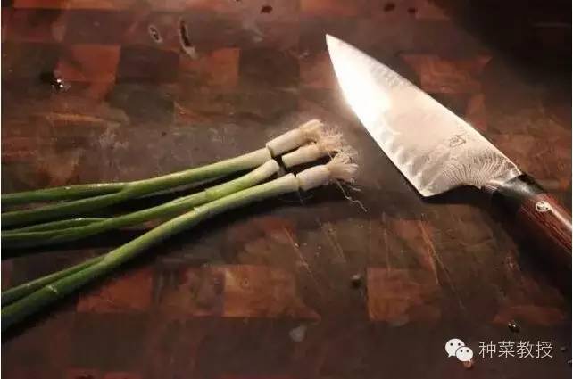 阳台种菜的土没有营养了怎么办,种子种菜阳台教程