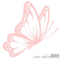 泰州中航旅游团六日游,泰州中航国旅三日游