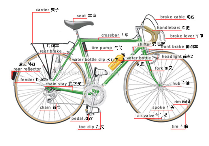骑自行车时，蹬车、捏闸、响铃用英文怎么说？