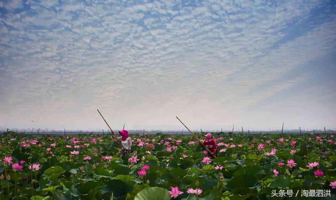 洪泽湖淮上江南,人间的天堂洪泽湖