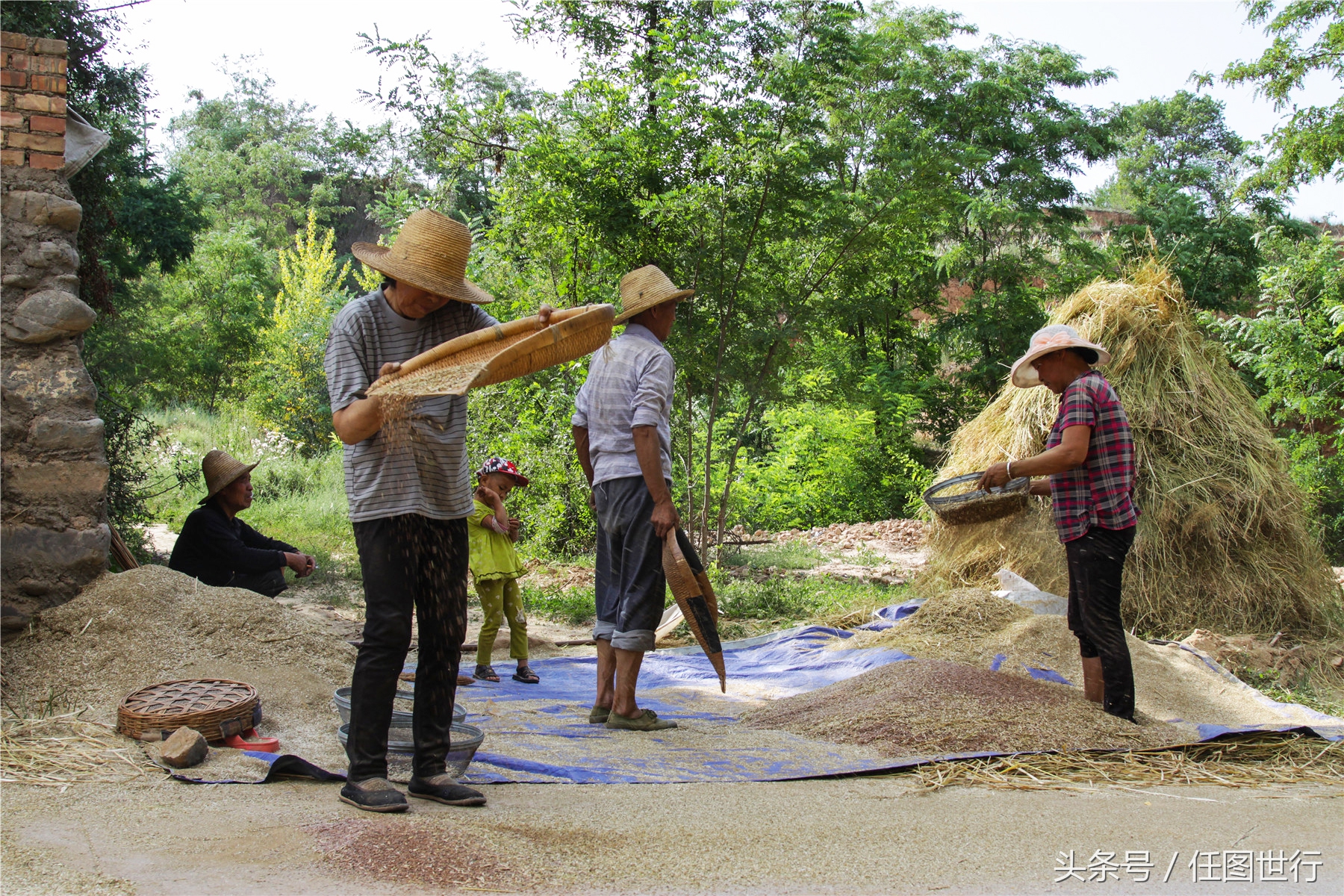 炎炎夏日发的句子,炎炎夏日乡村的说说