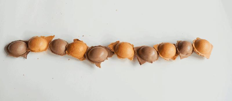 汪涵吴秀波关之琳宋茜刷爆票圈时，这个镶金边的pizza却火了