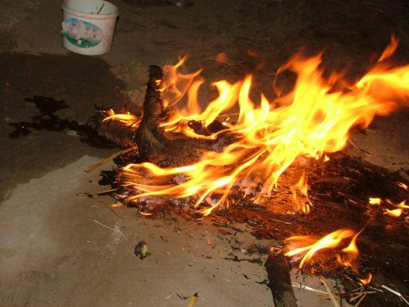 鬼吹灯之黄皮子坟黄皮子放了没有,黄皮子坟真实民间传说