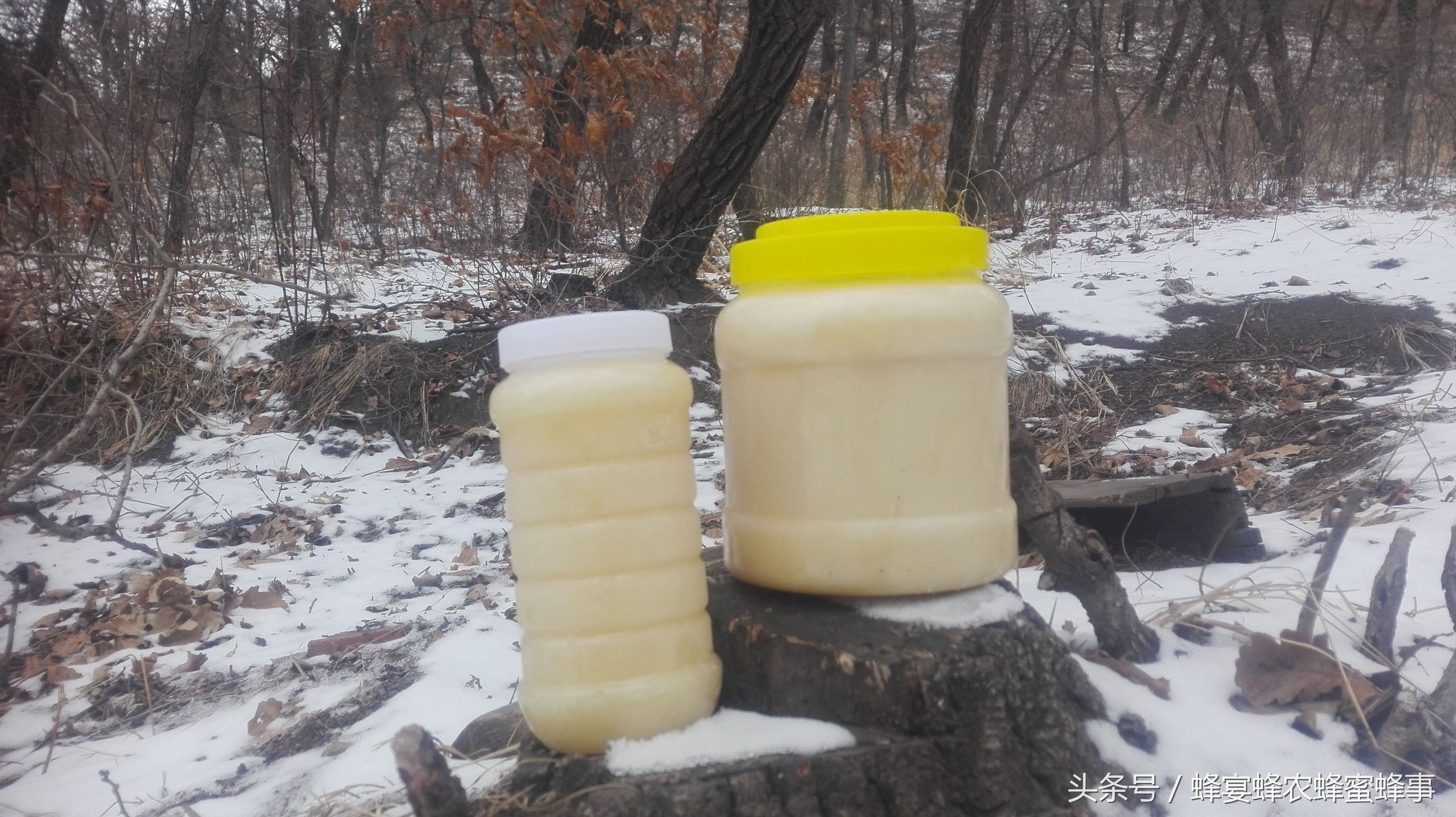 椴树蜜的作用和用途,椴树蜜具有什么作用