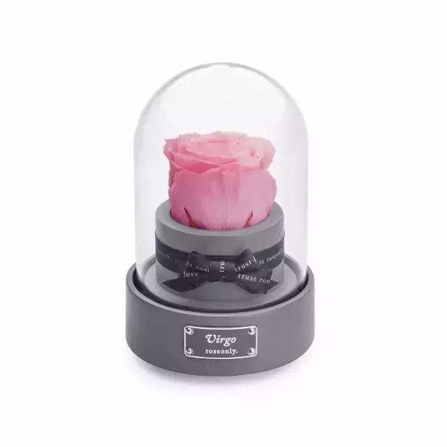 最走心的告白指南,恋爱秘笈情话技巧帮你告白成功