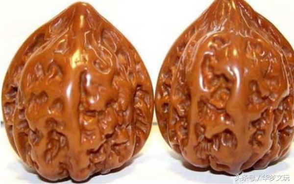 桃心和鸡心形状一样吗,桃心和鸭嘴鸡心有什么区别