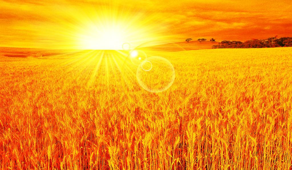 天气太热对人体影响,水太热洗澡的危害