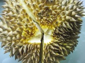 怎么判断没有开榴莲熟不熟,榴莲买回家如何辨认熟不熟