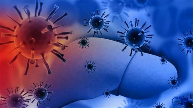 转氨酶高吃双环醇片多久可以降,转氨酶正常了还需要吃双环醇片吗