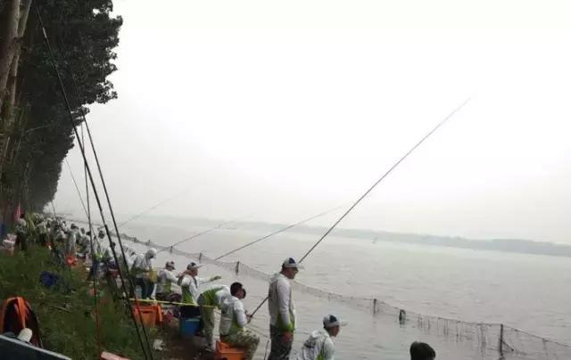 行营钓鱼俱乐部,化氏高湖2024垂钓大赛冠军