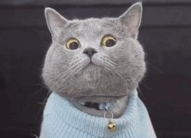 南宁二十四小时宠物医院,南宁宠物医院24小时急诊多少钱