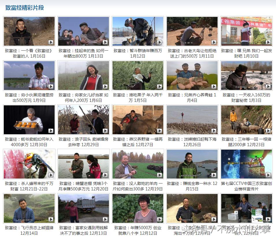 第一致富类节目,不单致穷能力强,取标题也是一绝,赶紧学学