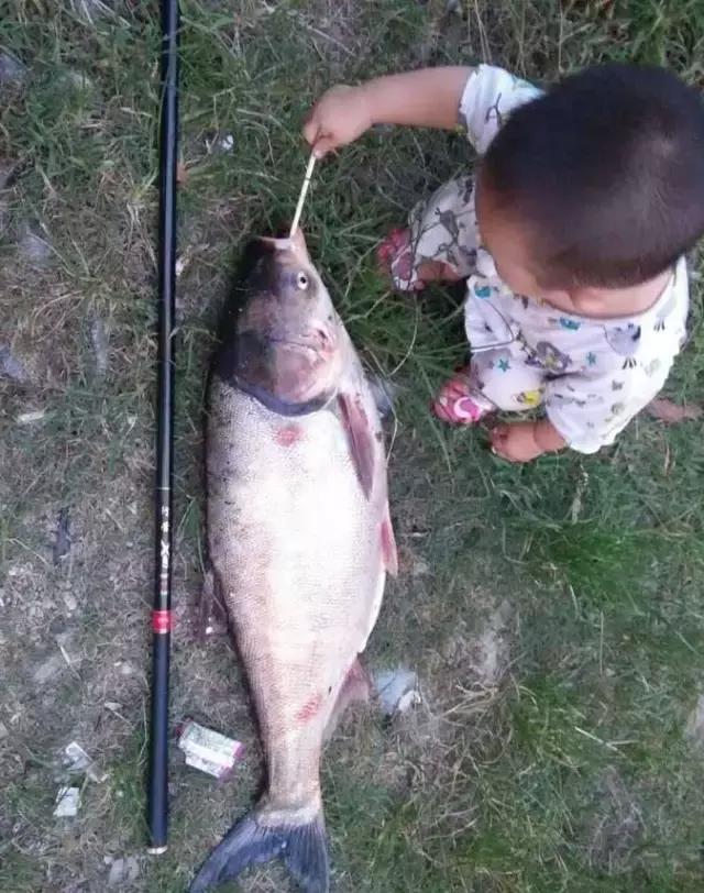 半价活动快来抢购,半价狂欢活动来袭