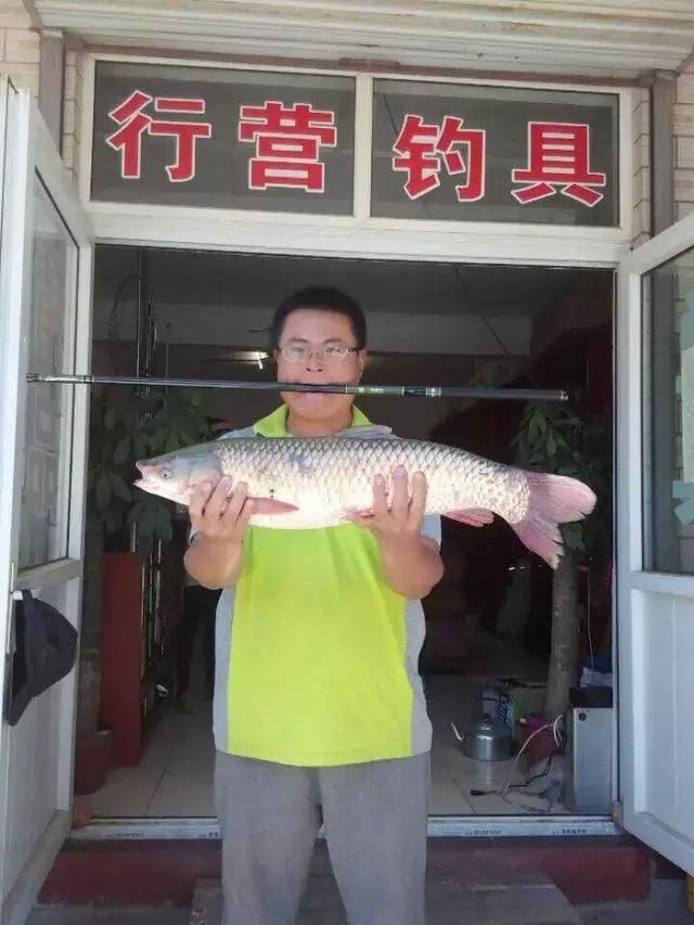 半价活动快来抢购,半价狂欢活动来袭