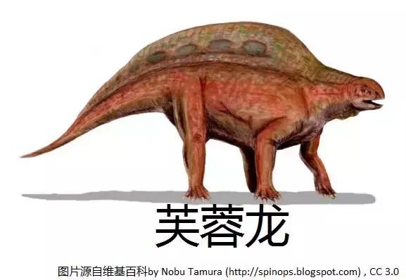 恐龙时期的恐鳄,恐龙时期的扬子鳄