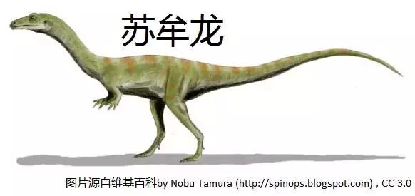 恐龙时期的恐鳄,恐龙时期的扬子鳄