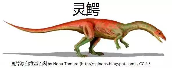 恐龙时期的恐鳄,恐龙时期的扬子鳄