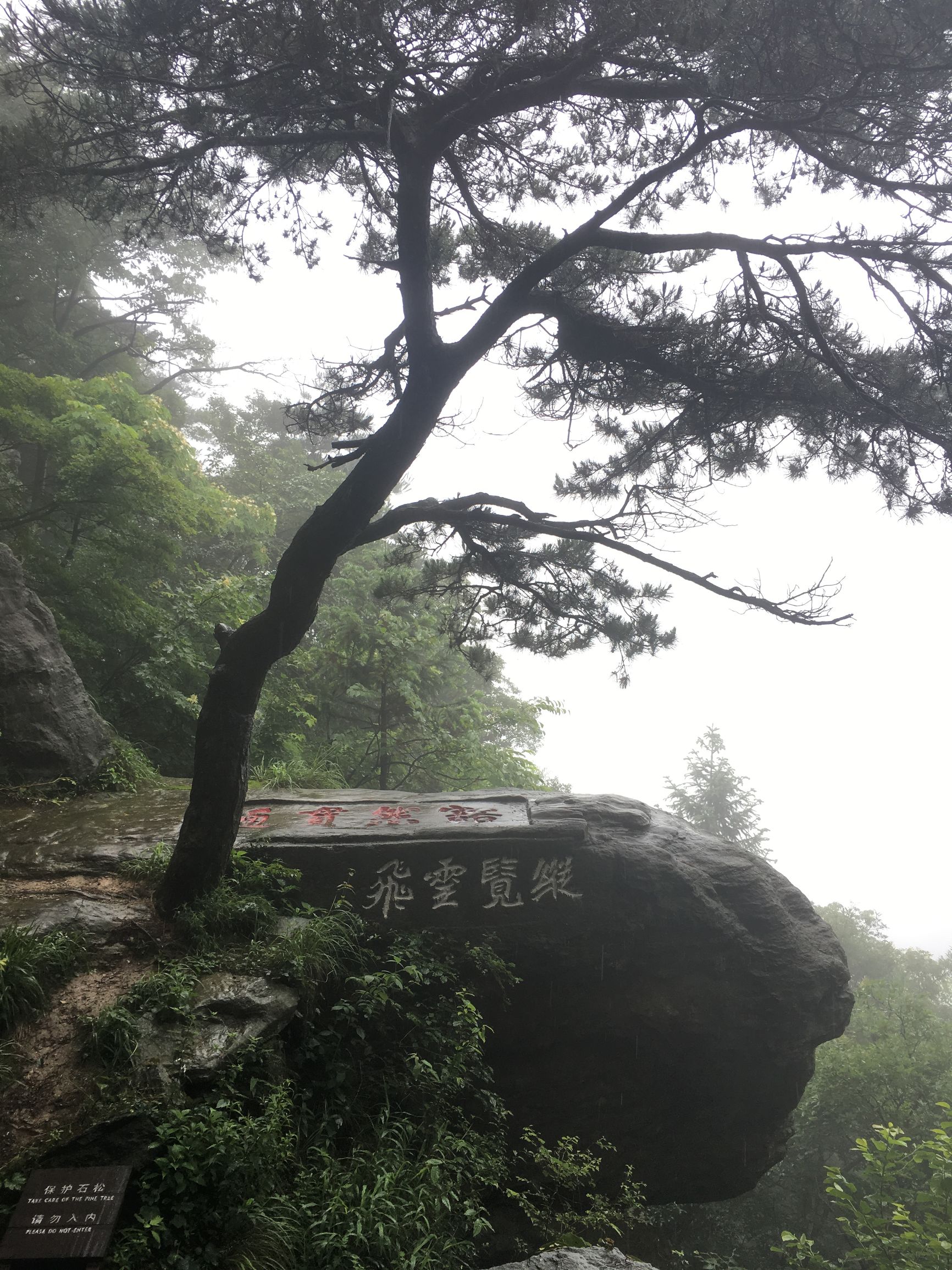庐山云雾旅游攻略 (庐山云雾讲解)