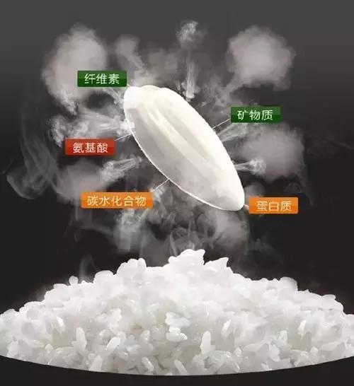 宋欧巴,宋欧巴所有视频