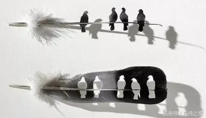 家电小白必看攻略,家电保养小常识大全