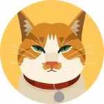 3次剖腹产3次流产,双侧卵巢手术后怀孕一直胎停