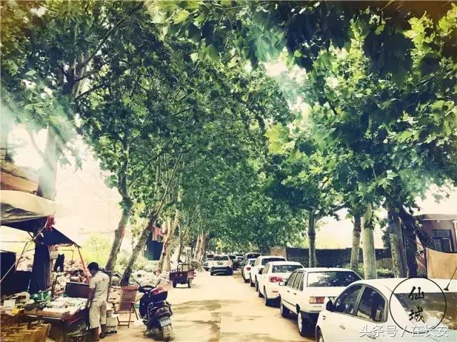 西安三桥以前的样子,西安三桥人