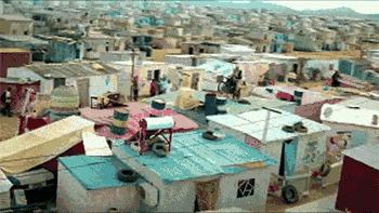 轮胎遭出口反倾销调查原因,轮胎反倾销最新消息