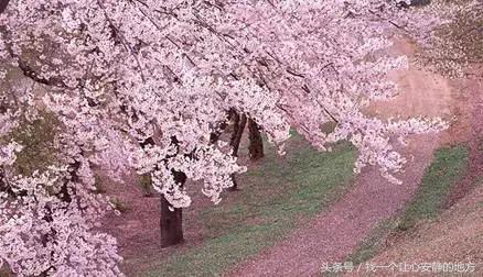 1-3月份山东适合去哪旅游,山东1月2日旅游攻略大全