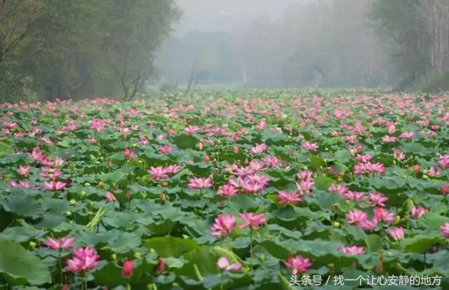 1-3月份山东适合去哪旅游,山东1月2日旅游攻略大全