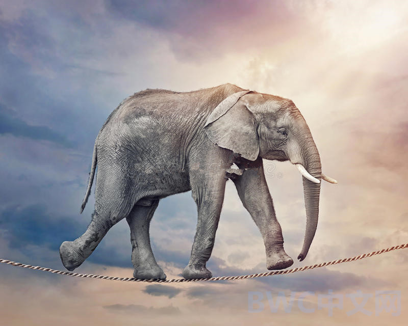 印度负债最新消息,印度银行最近状况