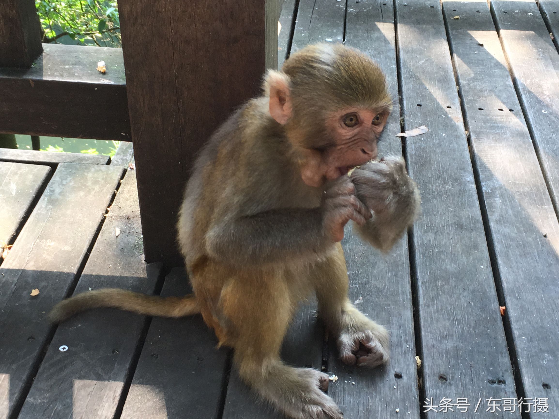 黔灵山附近贵阳酸汤鱼推荐,寻黔记贵州凯里酸汤鱼