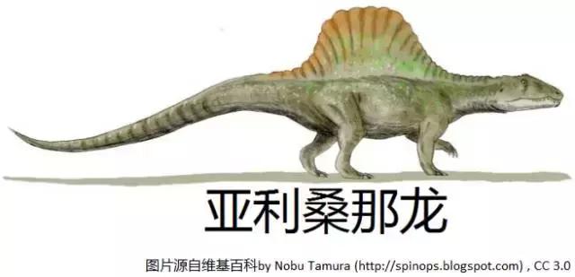 恐龙时期的恐鳄,恐龙时期的扬子鳄