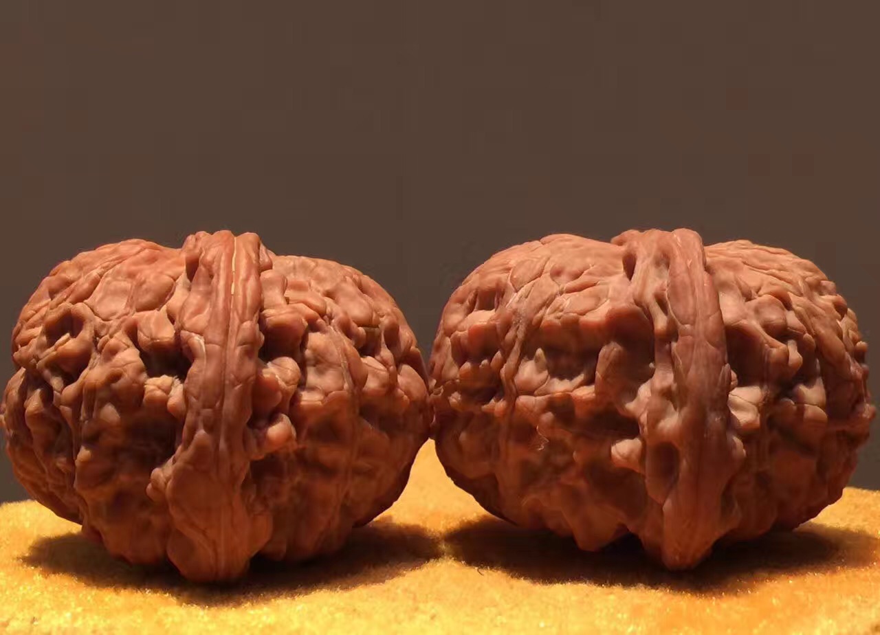 正磨盘狮子头和歪磨盘的区别,玩了十年的磨盘狮子头