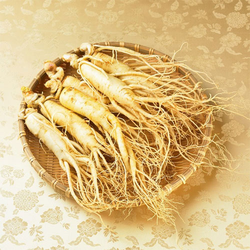 农民常见植物有哪些,农村常见的植物科普