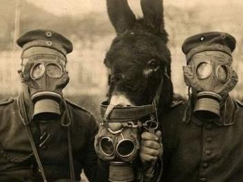 车里有这个东西立即扔掉,车里千万别再放这种东西